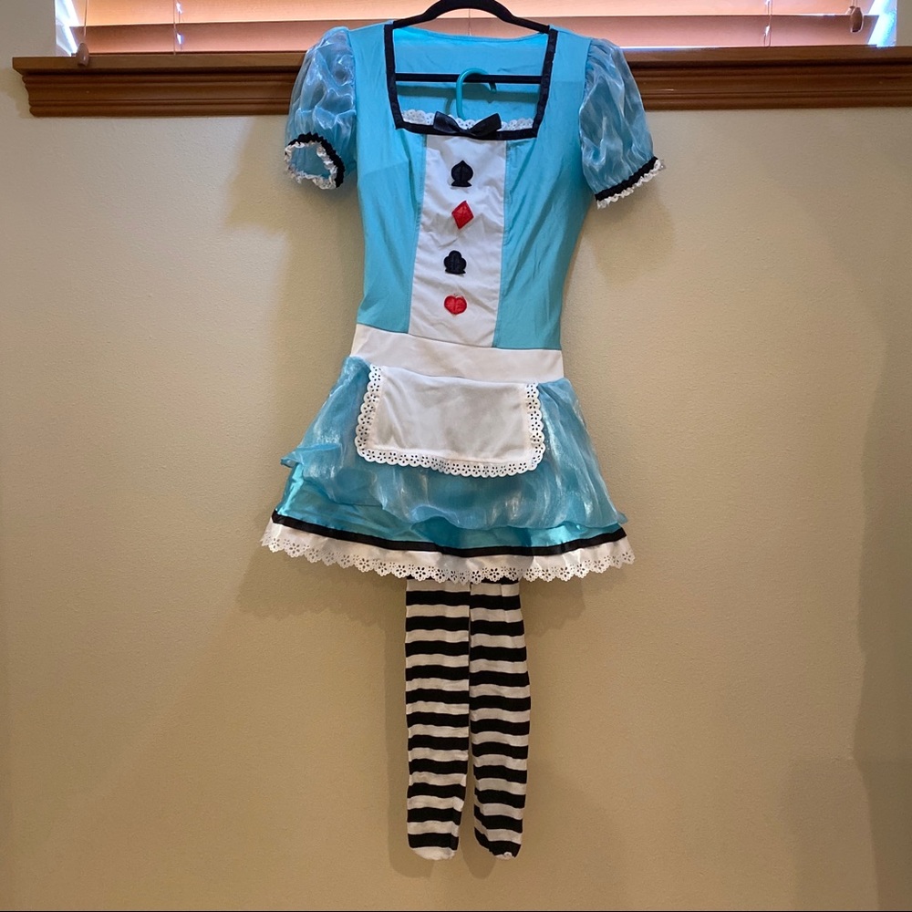 Alice in Wonderland Halloween Costume